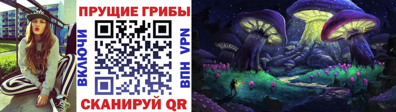Псилоцибиновые грибы Psilocybine cubensis  Назарово 