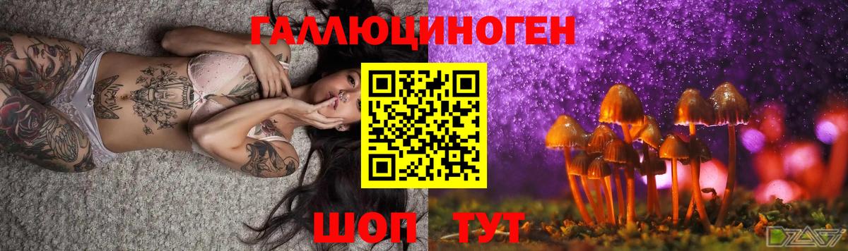 Псилоцибиновые грибы прущие грибы Назарово